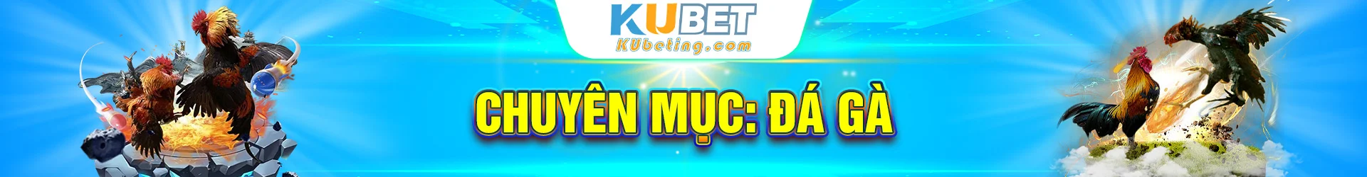 5-chuyen-muc-da-ga