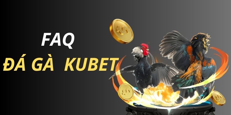 FAQ về sân chơi đá gà Kubet chuẩn nhất