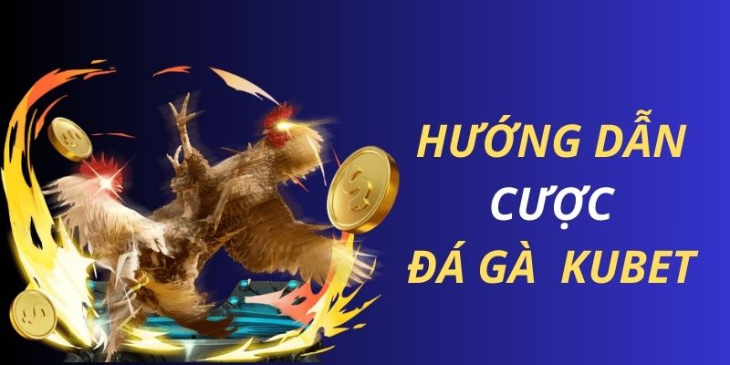 Hướng dẫn chơi đá gà Kubet cơ bản dành cho mọi hội viên